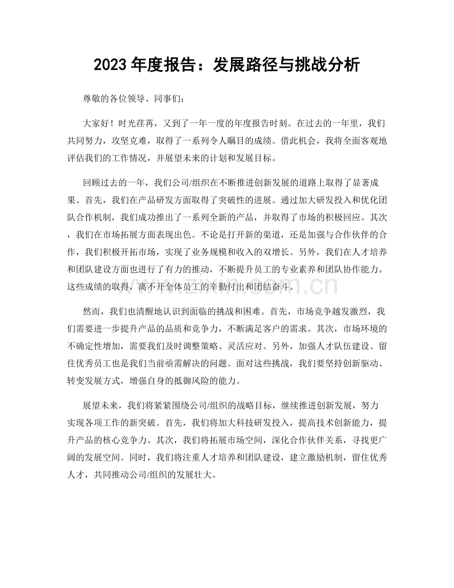 2023年度报告：发展路径与挑战分析.docx_第1页