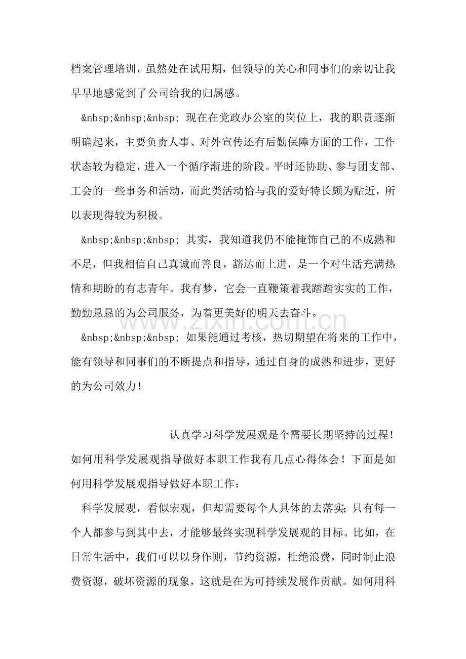 企业试用期个人总结.doc_第2页