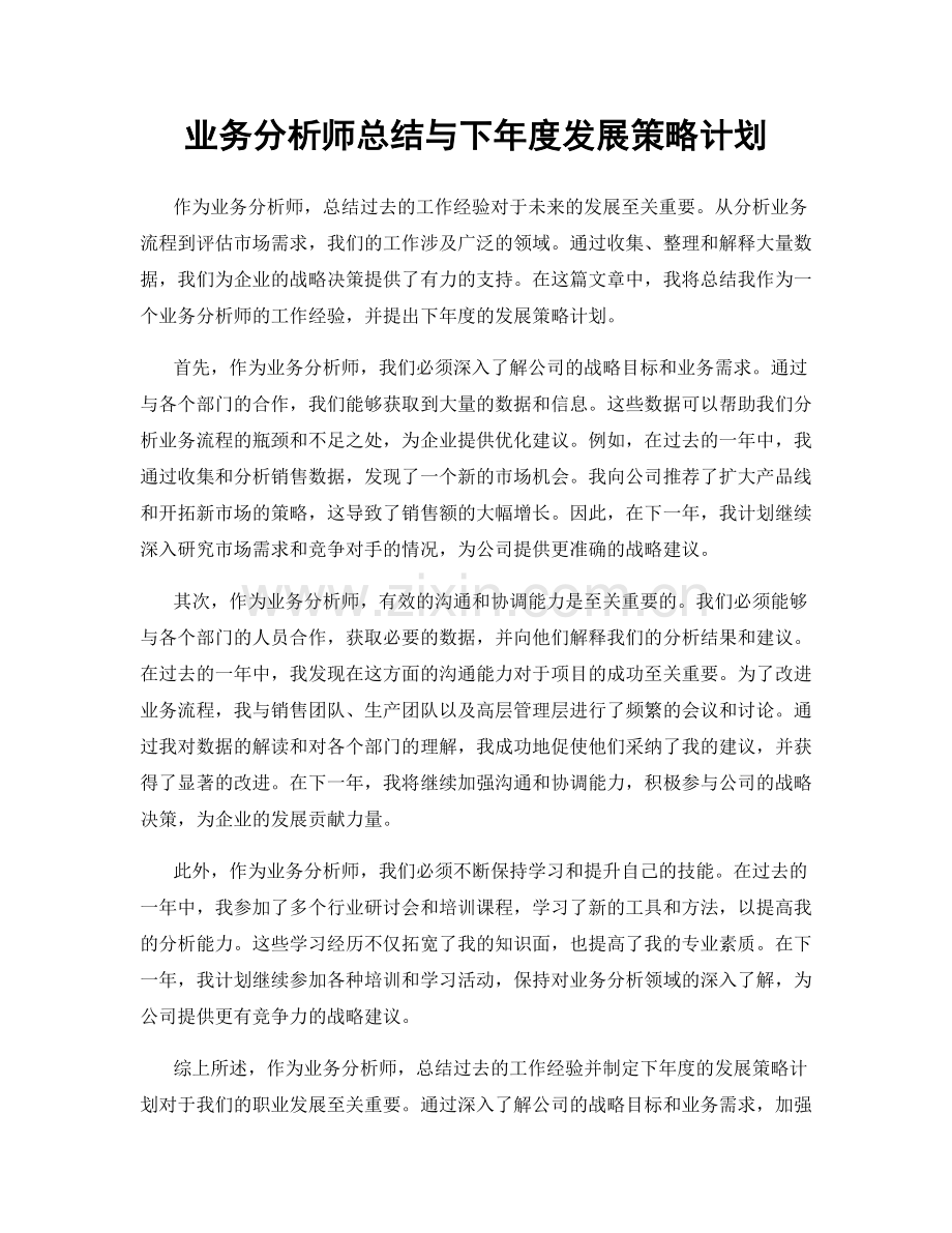 业务分析师总结与下年度发展策略计划.docx_第1页