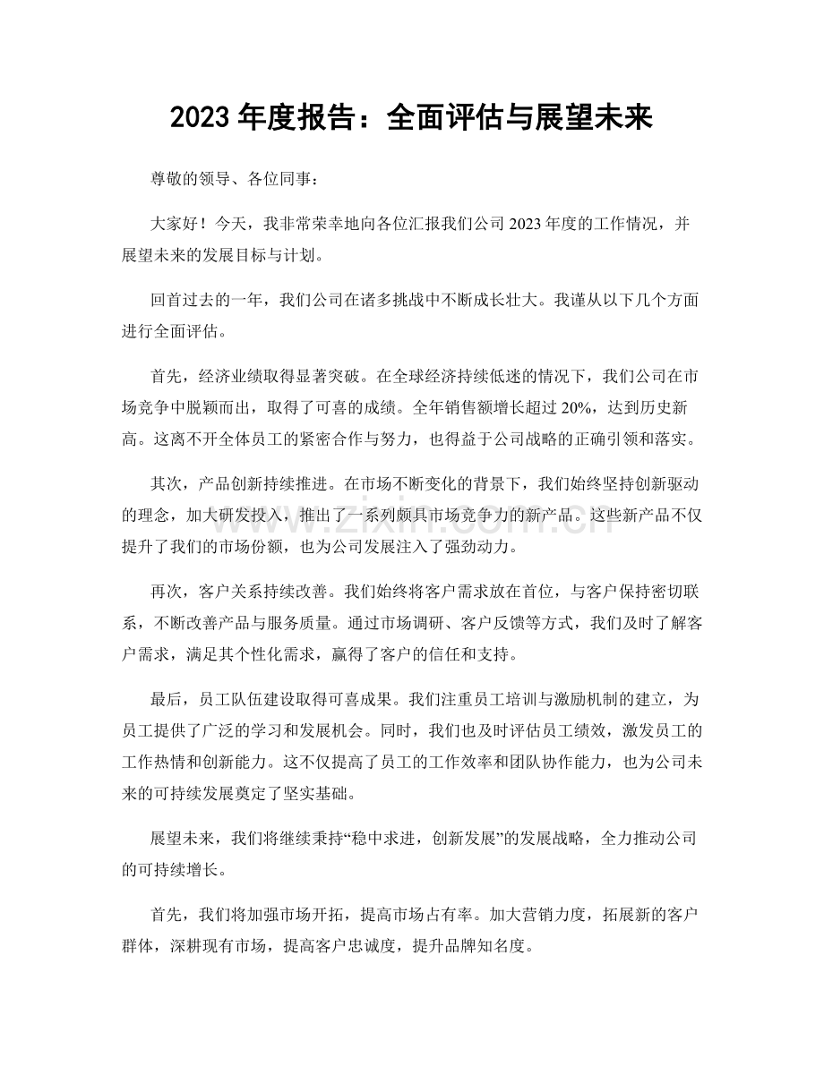 2023年度报告：全面评估与展望未来.docx_第1页