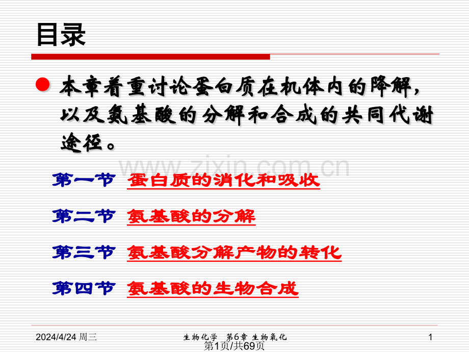 蛋白质分解代谢.pptx_第1页