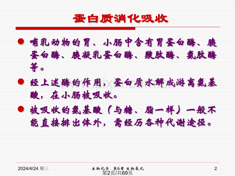 蛋白质分解代谢.pptx_第2页