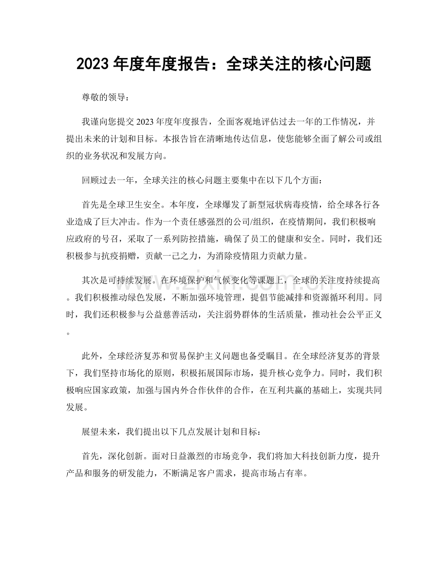 2023年度年度报告：全球关注的核心问题.docx_第1页