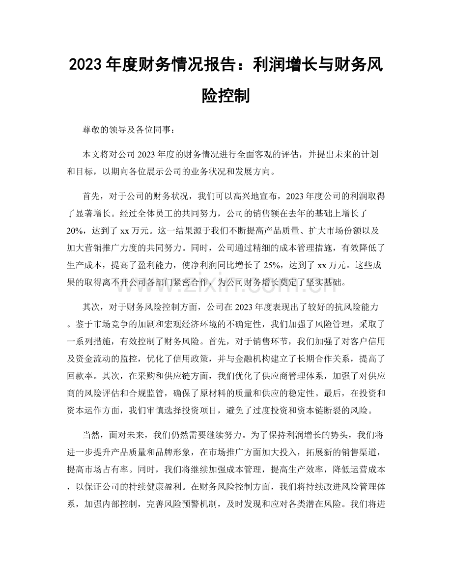 2023年度财务情况报告：利润增长与财务风险控制.docx_第1页