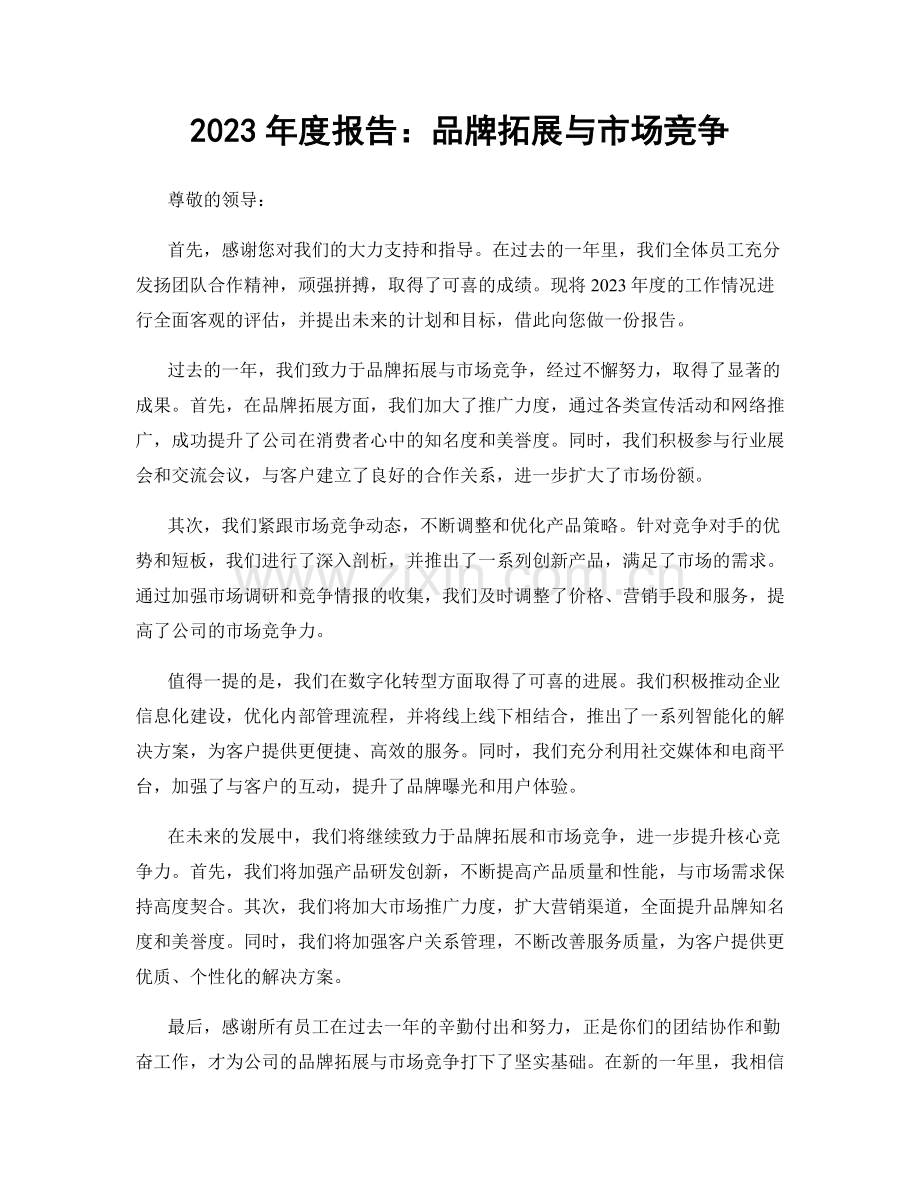 2023年度报告：品牌拓展与市场竞争.docx_第1页