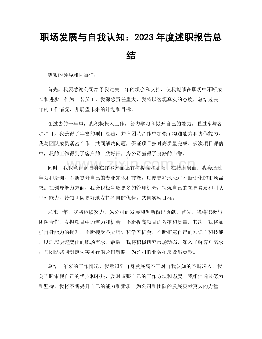 职场发展与自我认知：2023年度述职报告总结.docx_第1页