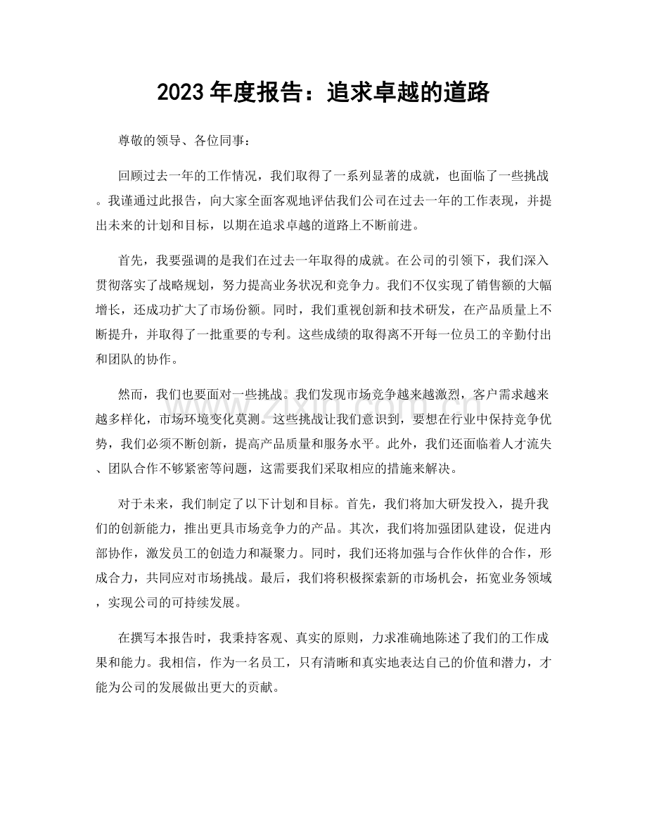 2023年度报告：追求卓越的道路.docx_第1页