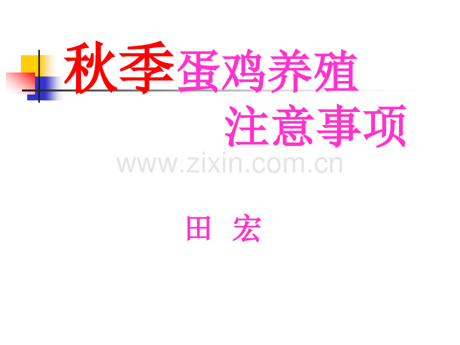 秋季蛋鸡养殖注意事项.pptx_第1页