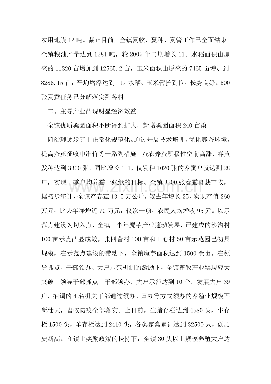 乡镇半年工作总结范文.doc_第2页