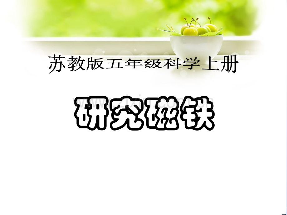 小学科学苏教版五年级上册研究磁铁.pptx_第1页