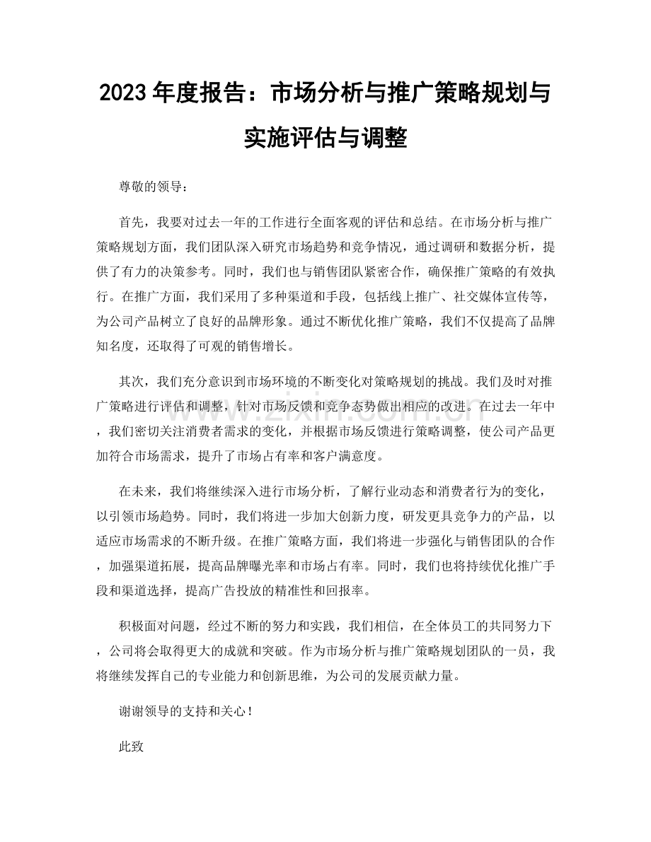 2023年度报告：市场分析与推广策略规划与实施评估与调整.docx_第1页