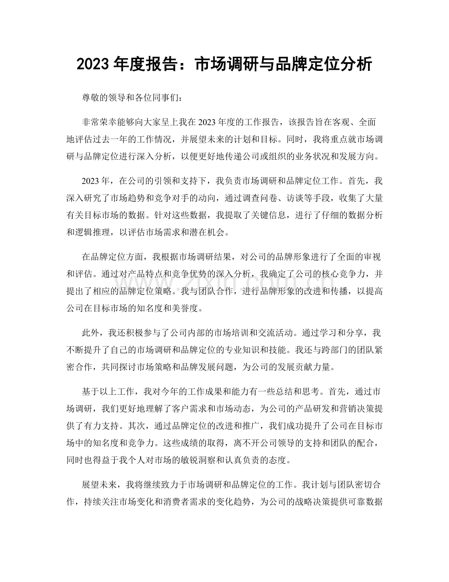 2023年度报告：市场调研与品牌定位分析.docx_第1页