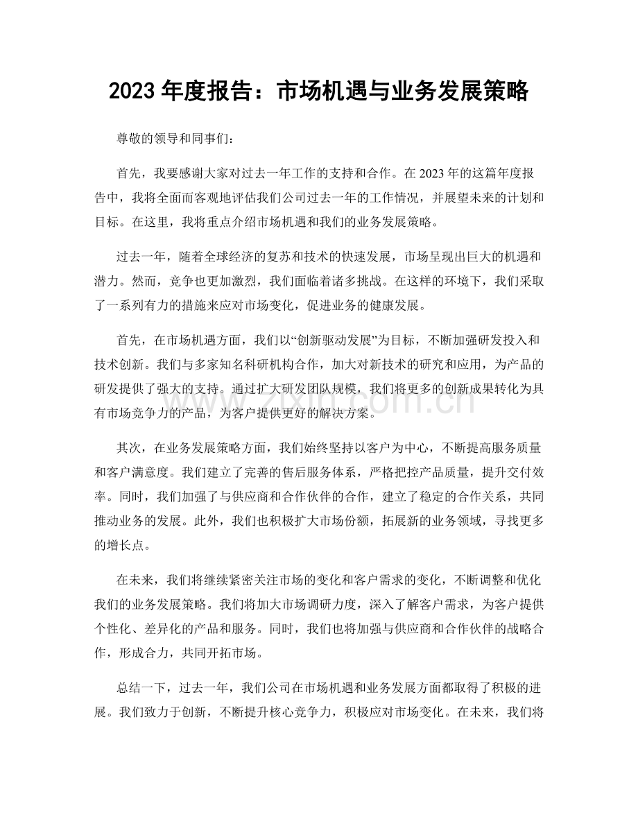2023年度报告：市场机遇与业务发展策略.docx_第1页