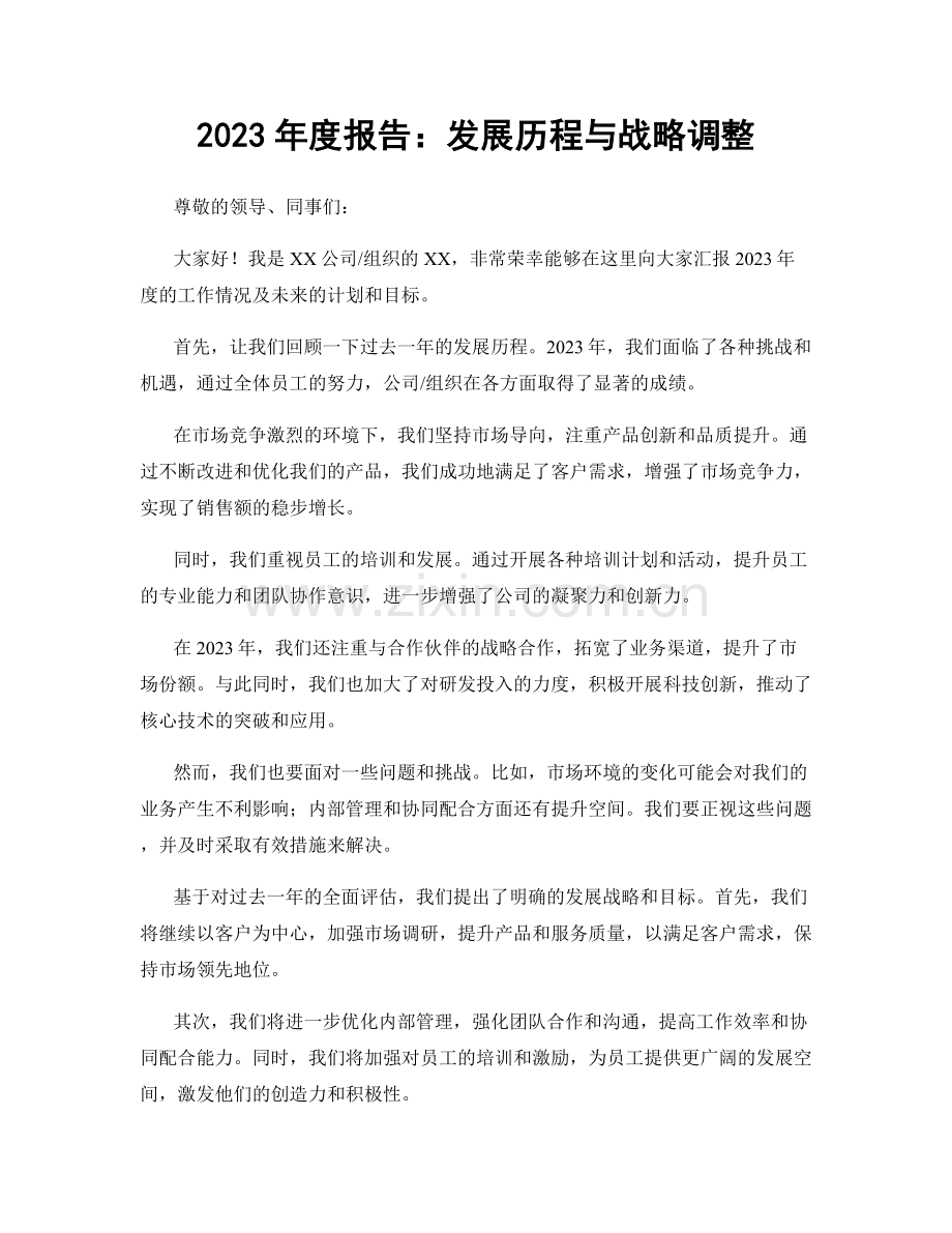 2023年度报告：发展历程与战略调整.docx_第1页