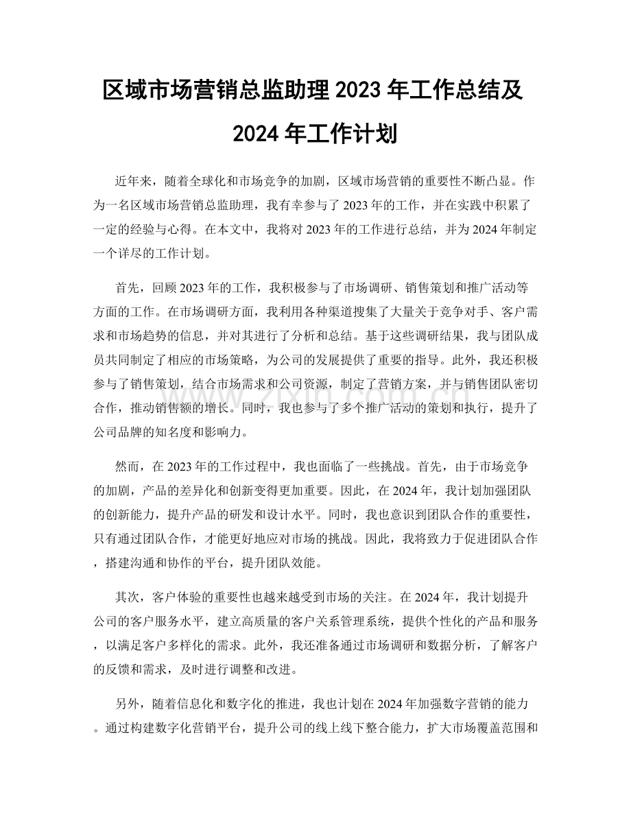 区域市场营销总监助理2023年工作总结及2024年工作计划.docx_第1页