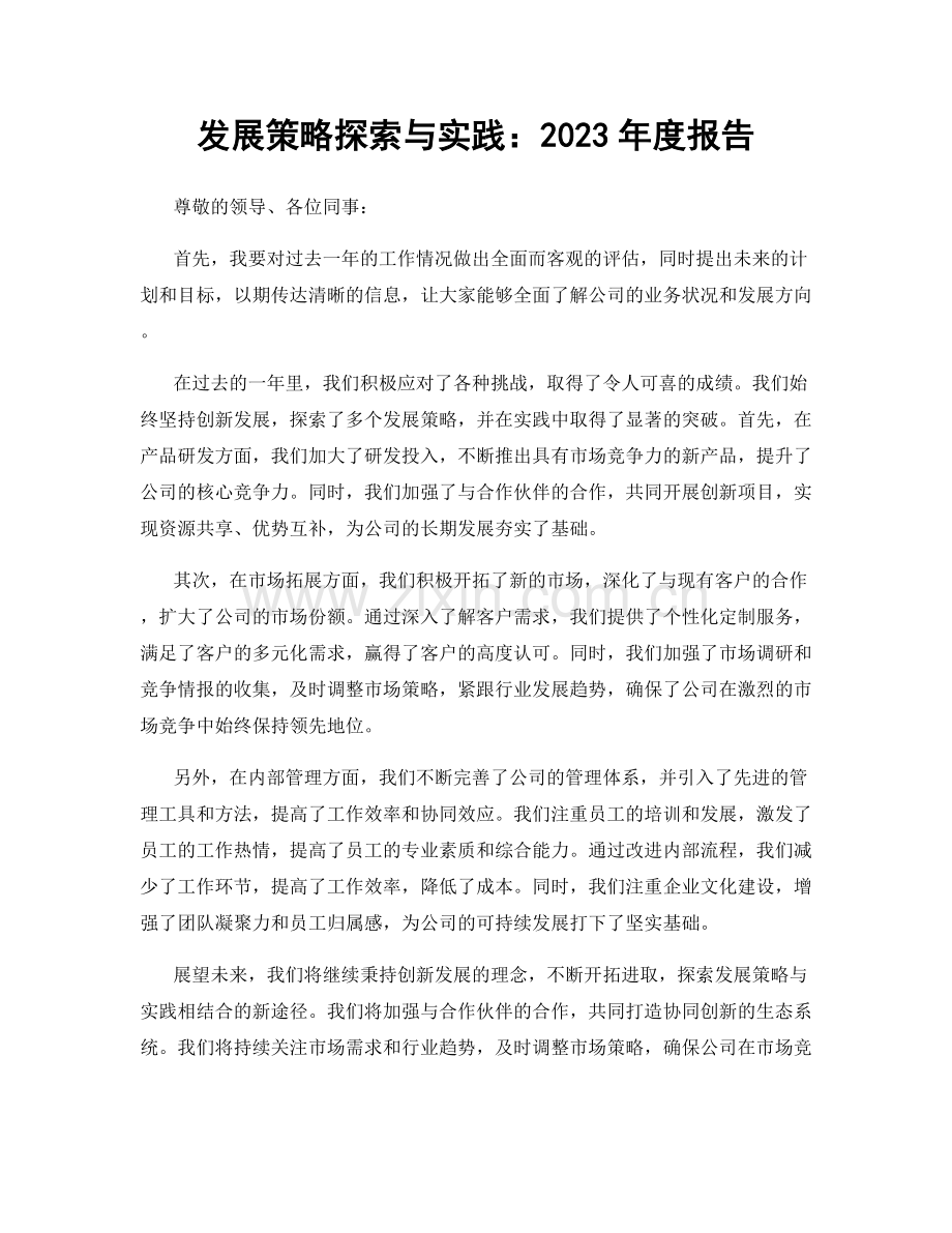 发展策略探索与实践：2023年度报告.docx_第1页