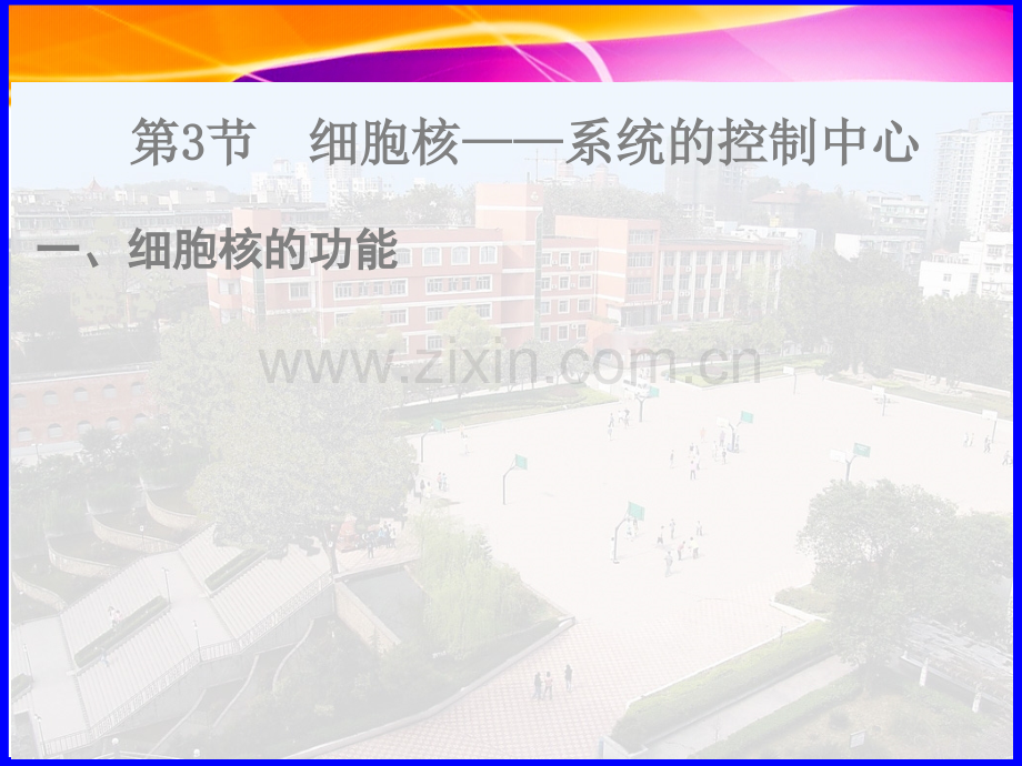 细胞核—系统的控制中心公开课.pptx_第2页