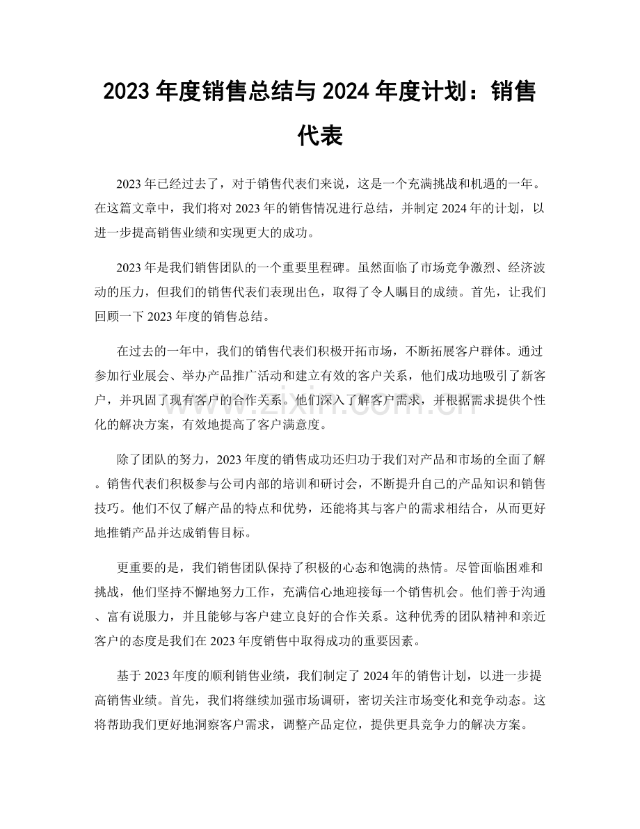 2023年度销售总结与2024年度计划：销售代表.docx_第1页