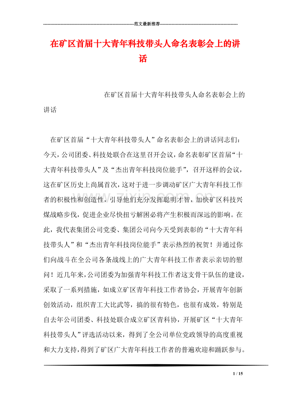 在矿区首届十大青年科技带头人命名表彰会上的讲话.doc_第1页