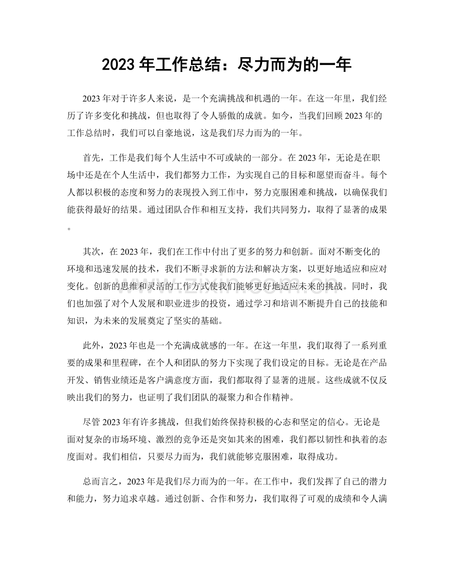 2023年工作总结：尽力而为的一年.docx_第1页