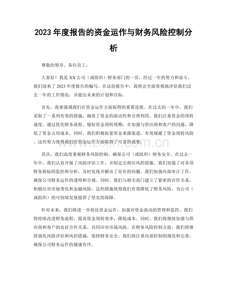 2023年度报告的资金运作与财务风险控制分析.docx_第1页