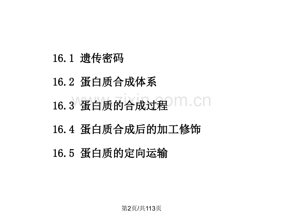 蛋白质的生物合成word03.pptx_第2页