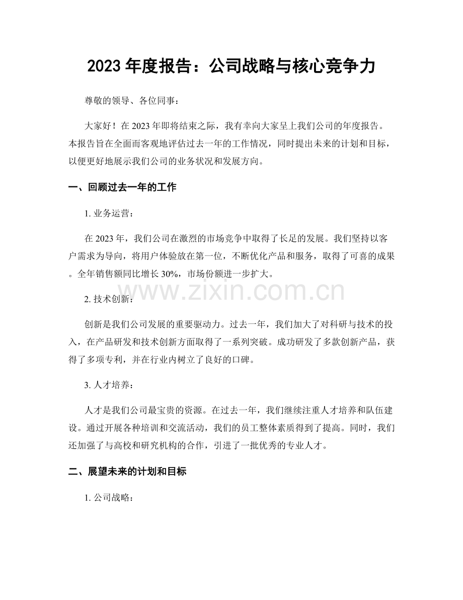 2023年度报告：公司战略与核心竞争力.docx_第1页