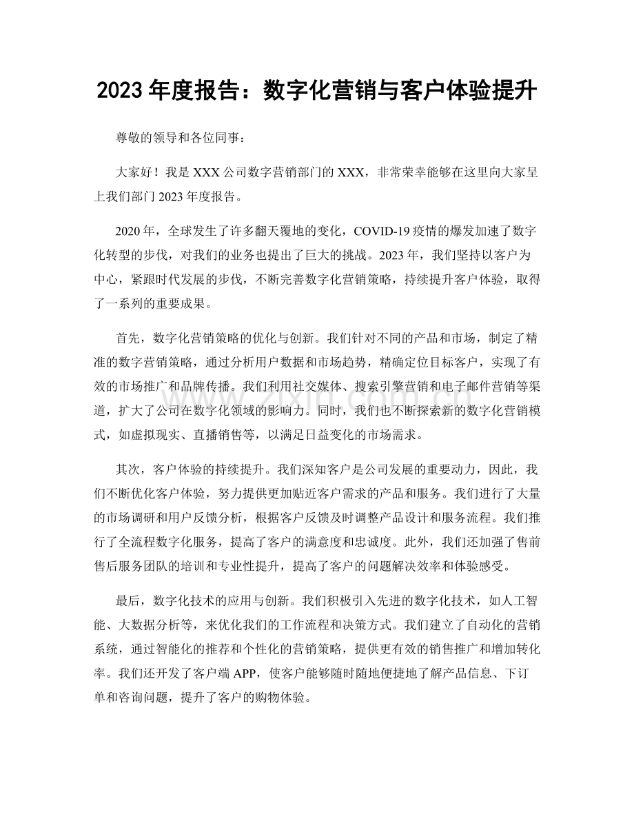 2023年度报告：数字化营销与客户体验提升.docx_第1页
