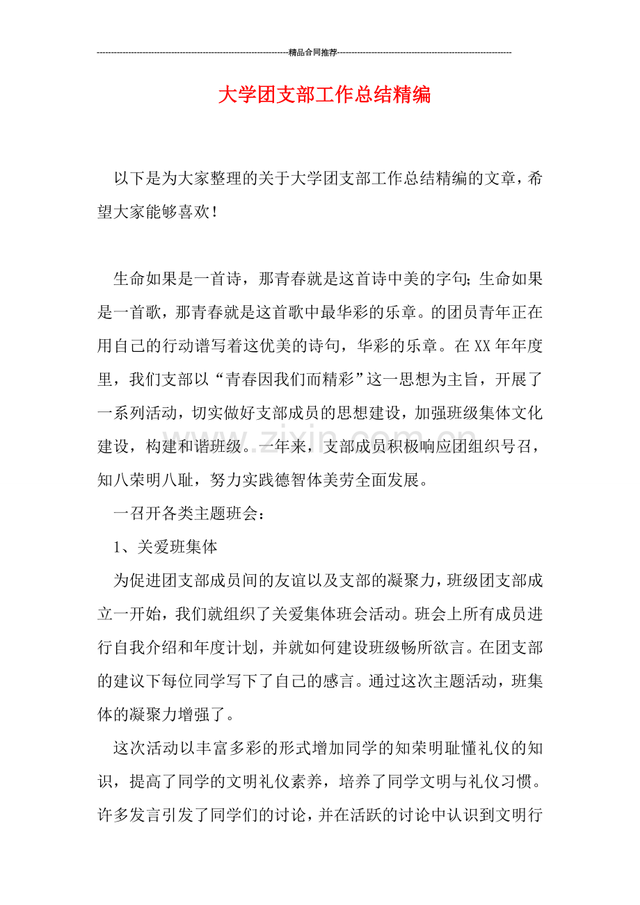 大学团支部工作总结精编.doc_第1页