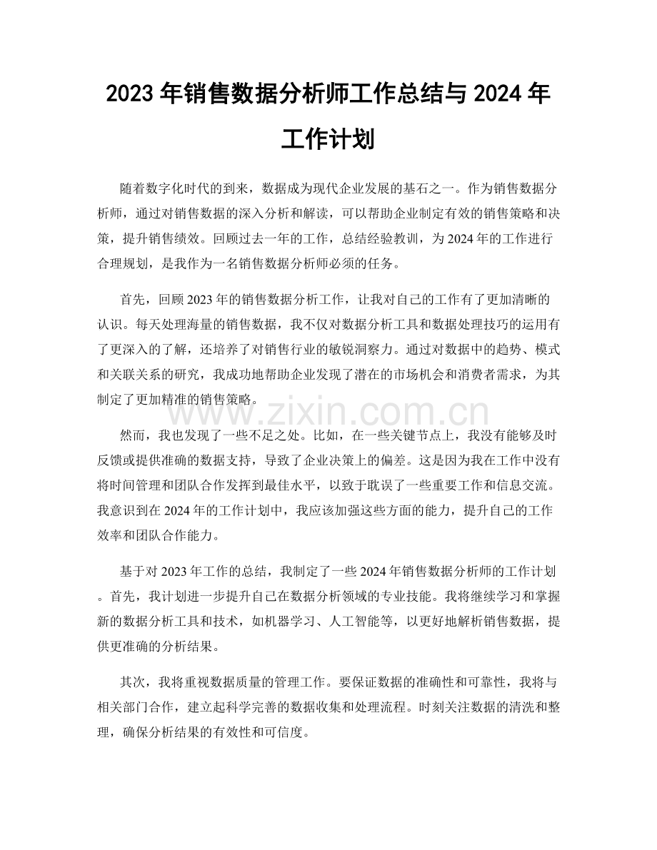 2023年销售数据分析师工作总结与2024年工作计划.docx_第1页