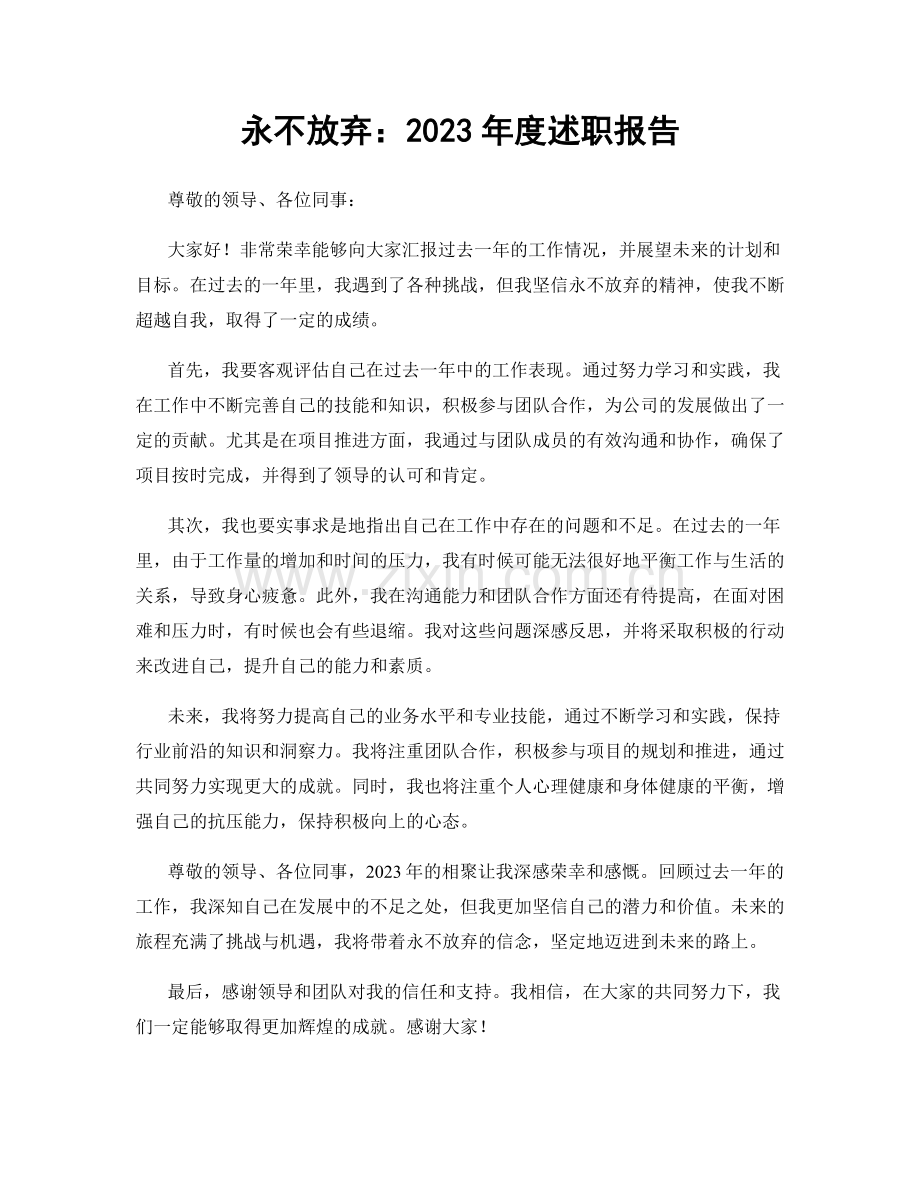 永不放弃：2023年度述职报告.docx_第1页