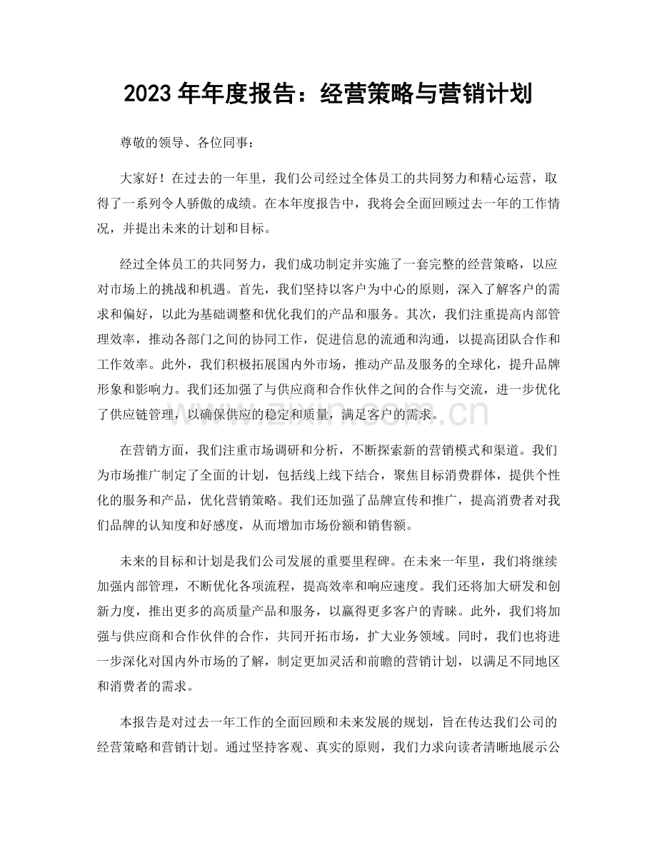 2023年年度报告：经营策略与营销计划.docx_第1页