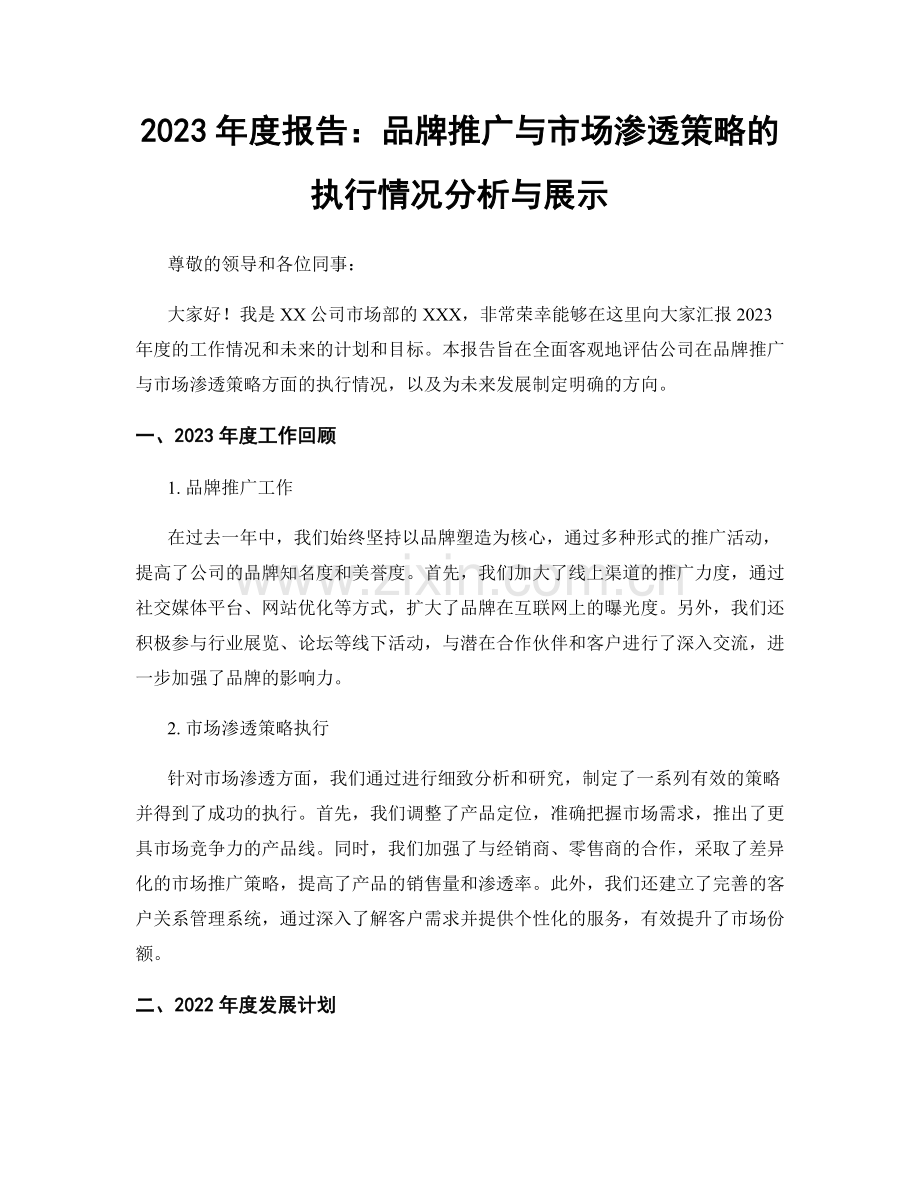 2023年度报告：品牌推广与市场渗透策略的执行情况分析与展示.docx_第1页