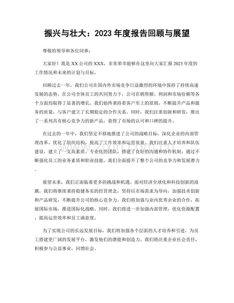 振兴与壮大：2023年度报告回顾与展望.docx_第1页