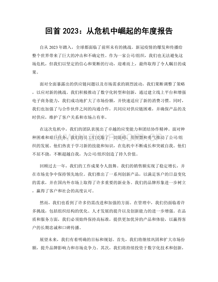回首2023：从危机中崛起的年度报告.docx_第1页