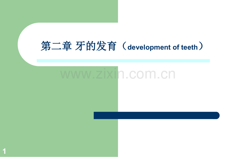 牙的发育.pptx_第1页