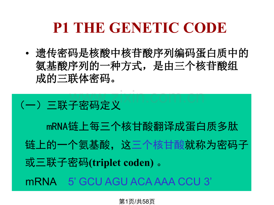 N蛋白质合成.pptx_第1页