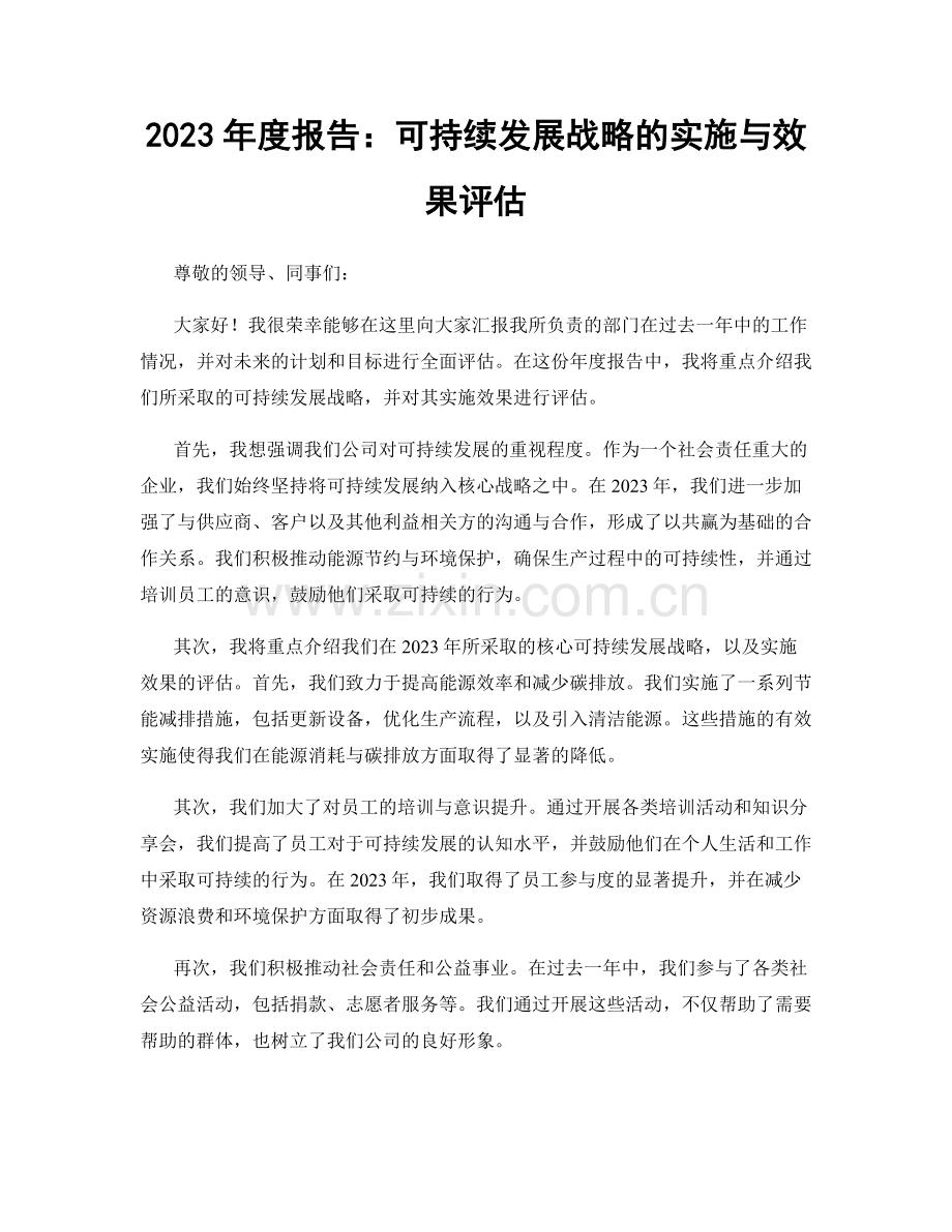 2023年度报告：可持续发展战略的实施与效果评估.docx_第1页