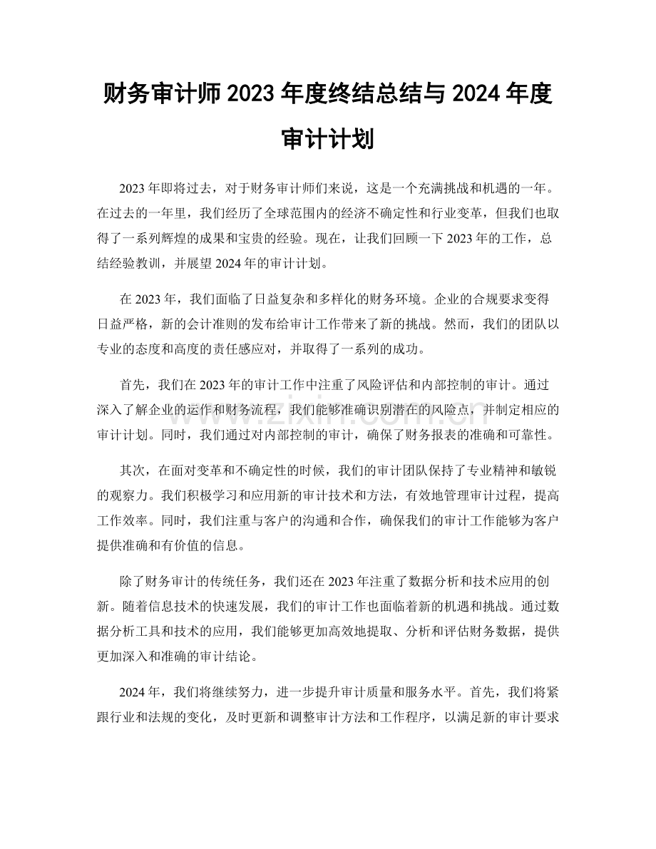 财务审计师2023年度终结总结与2024年度审计计划.docx_第1页