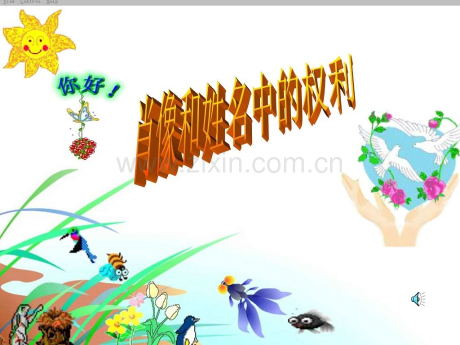 第二框肖像和姓名中的权利-图文.pptx_第1页