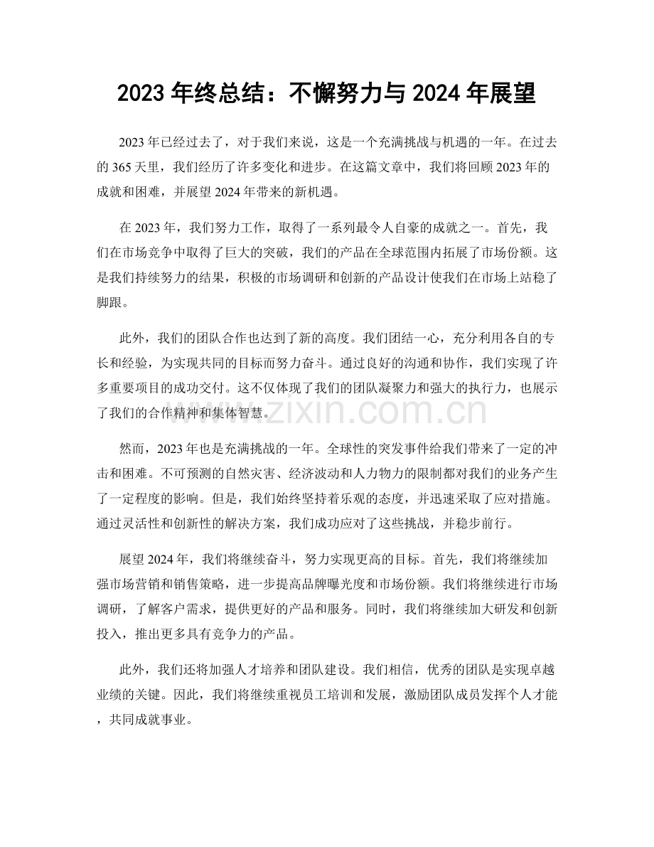 2023年终总结：不懈努力与2024年展望.docx_第1页
