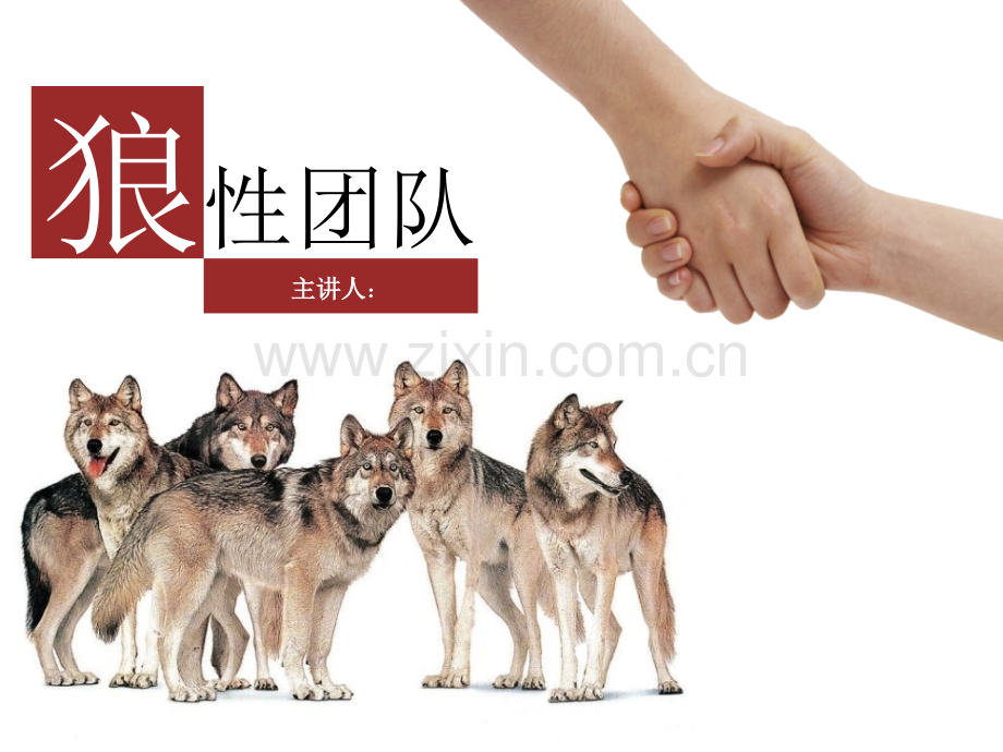 狼性团队建设ppt模板.pptx_第1页