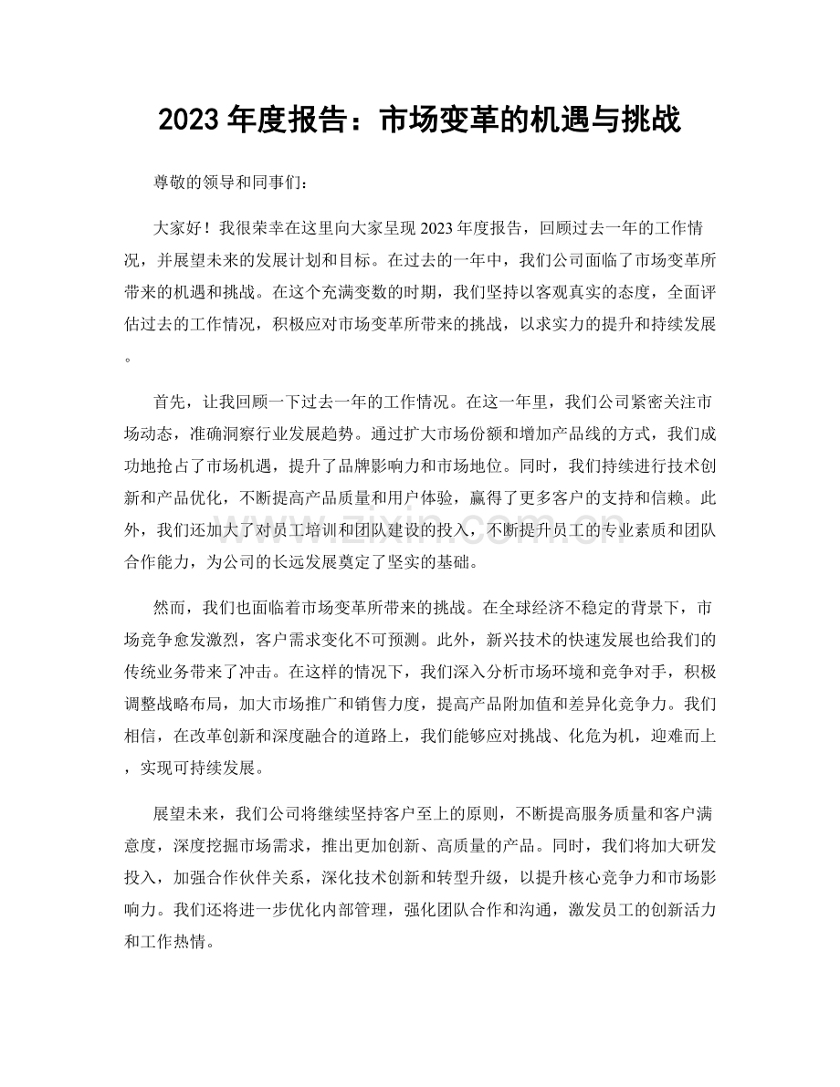 2023年度报告：市场变革的机遇与挑战.docx_第1页