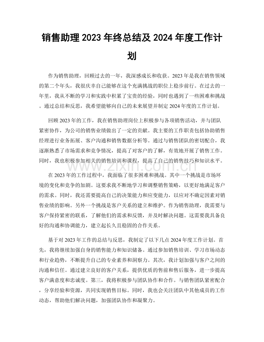 销售助理2023年终总结及2024年度工作计划.docx_第1页