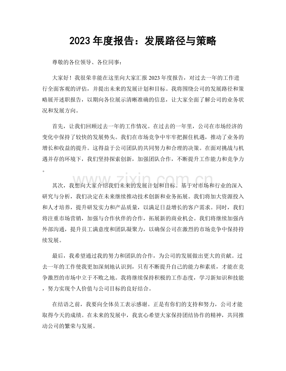 2023年度报告：发展路径与策略.docx_第1页