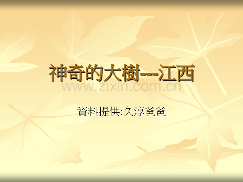 神奇的大树.pptx_第1页