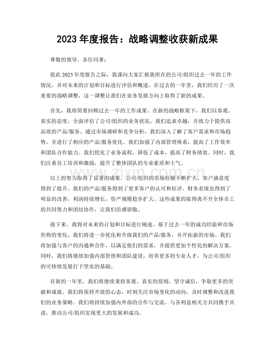 2023年度报告：战略调整收获新成果.docx_第1页