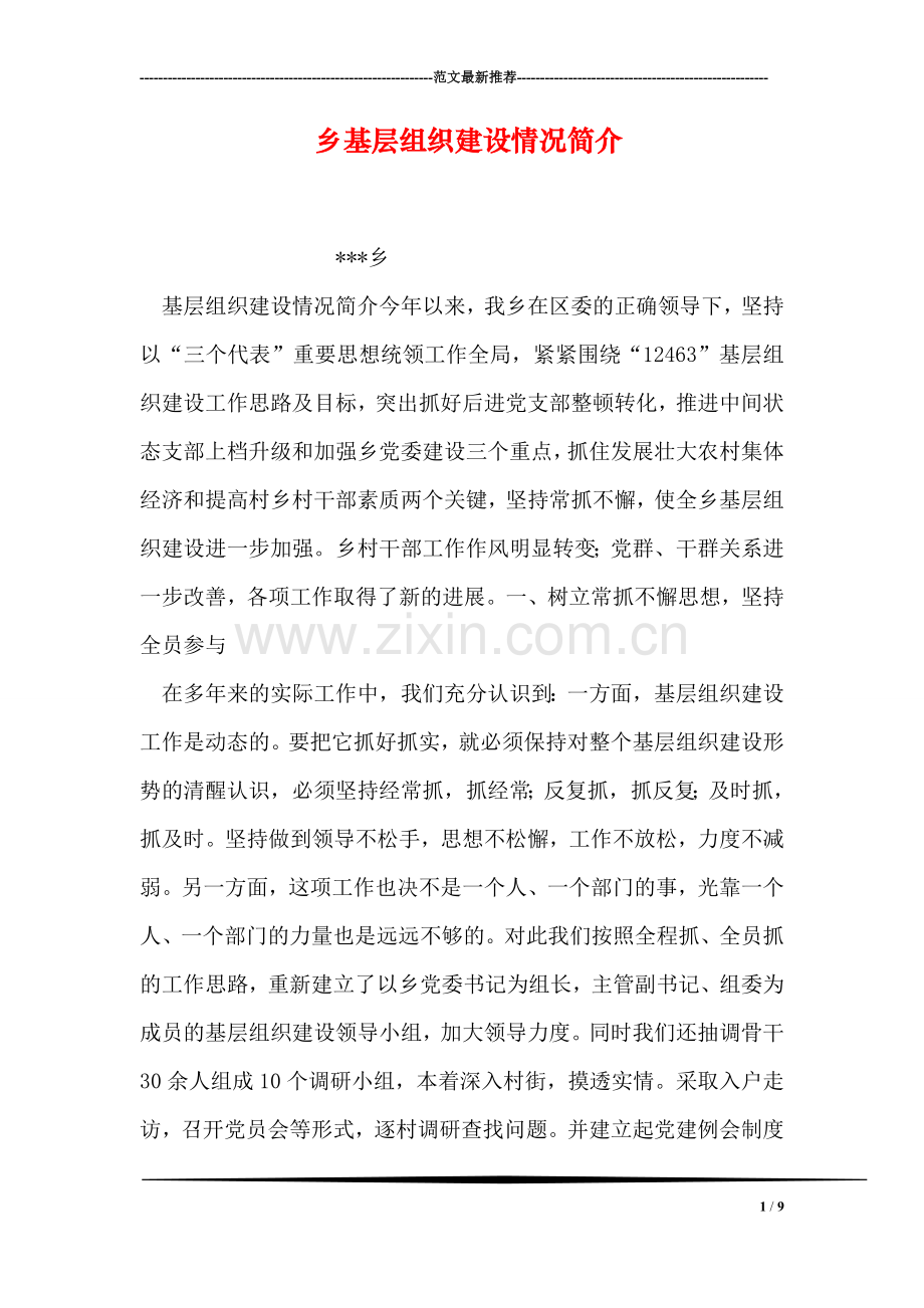 乡基层组织建设情况简介.doc_第1页