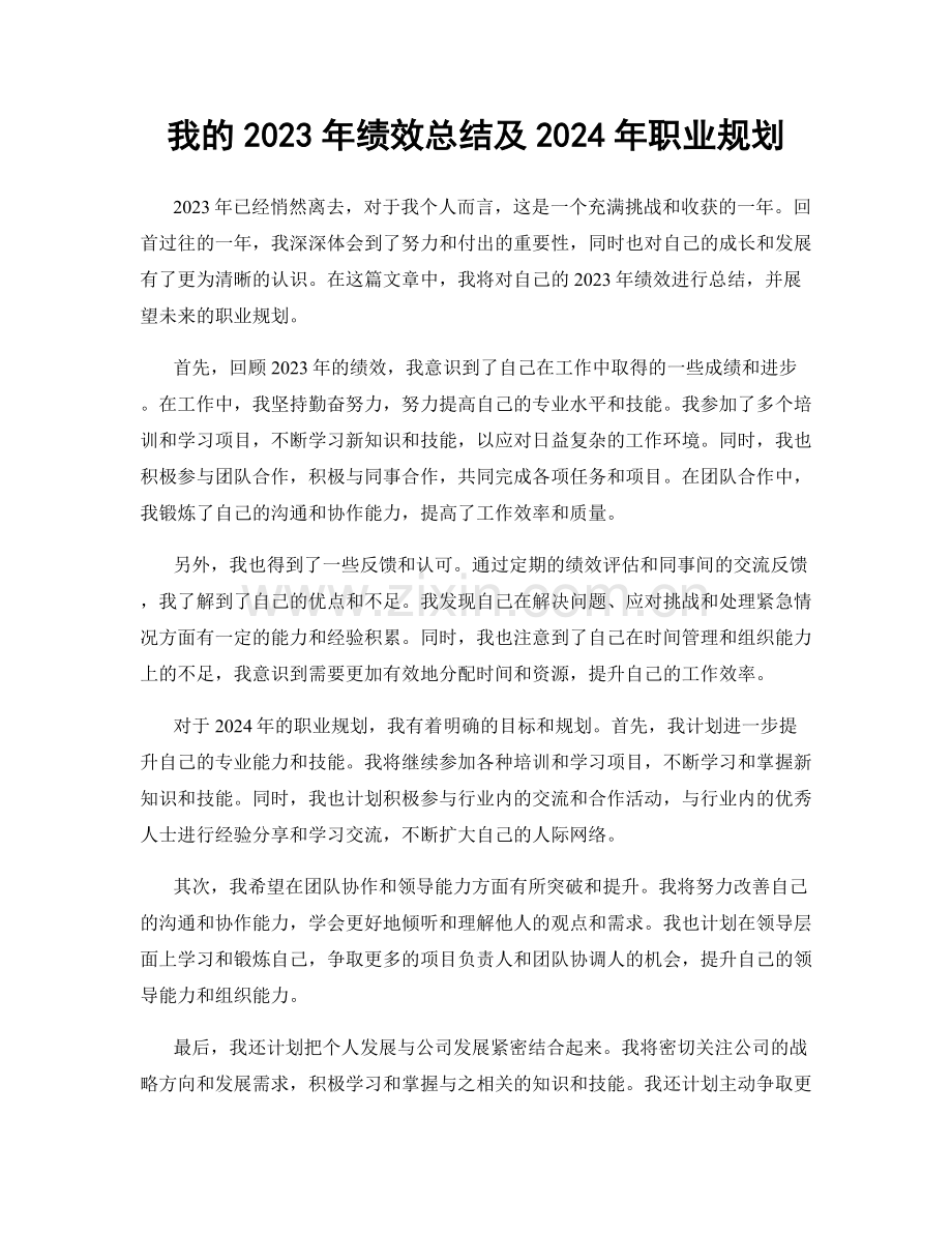 我的2023年绩效总结及2024年职业规划.docx_第1页