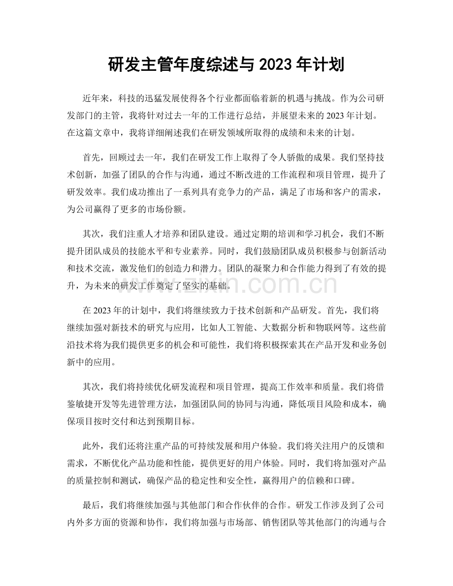 研发主管年度综述与2023年计划.docx_第1页